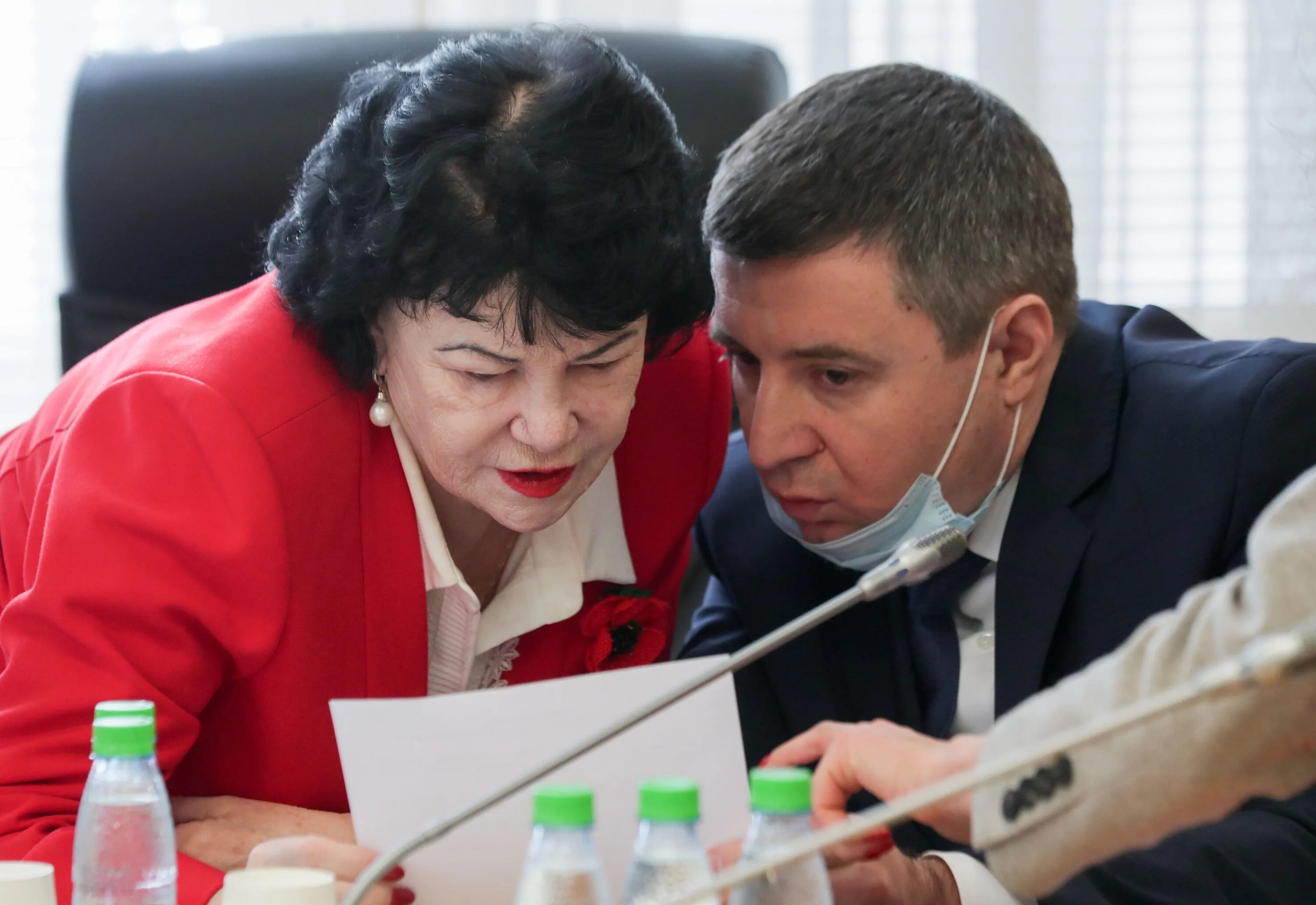 пленарное собрание. комитет по вопросам семьи женщин. комитет по вопросам семьи женщин. косулина председатель комитета. государственный комитет по делам семьи и женщин.