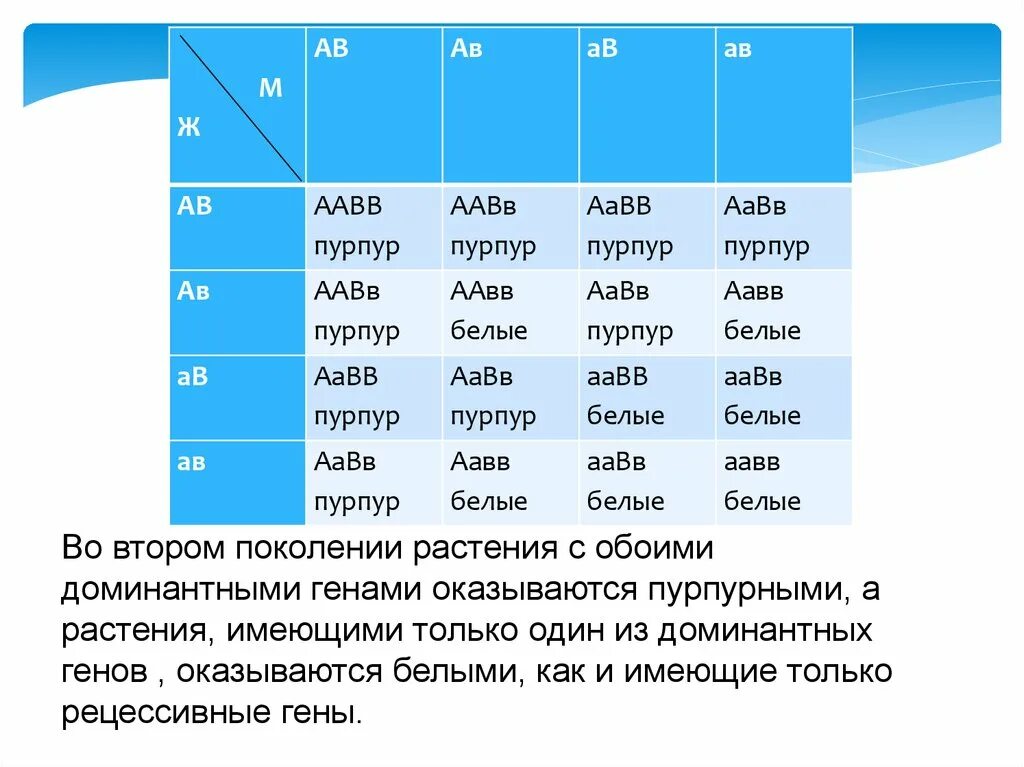Определить генотип особи aabb. Aabb aabb. аавв аавв. гены аавв. таблица по биологии aabb.