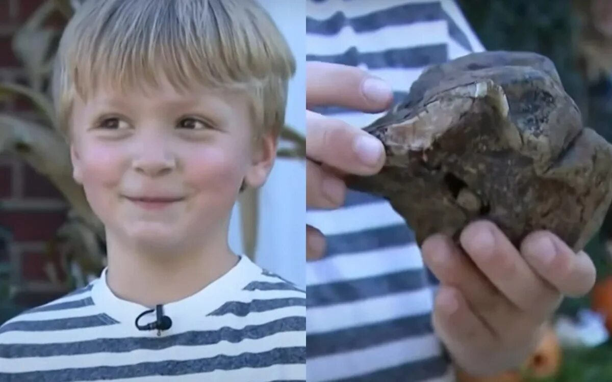 Нашли мальчика 4 лет. Заповедник динозавр Хилл Мичиган. Древнего мальчика нашли. Картинка редкая мальчик редкий мой.