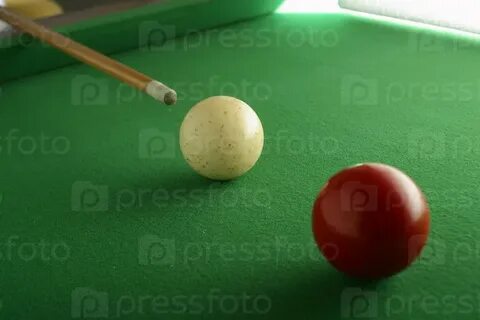 Қасқыр мен түлкінің жыныстық қатынасы