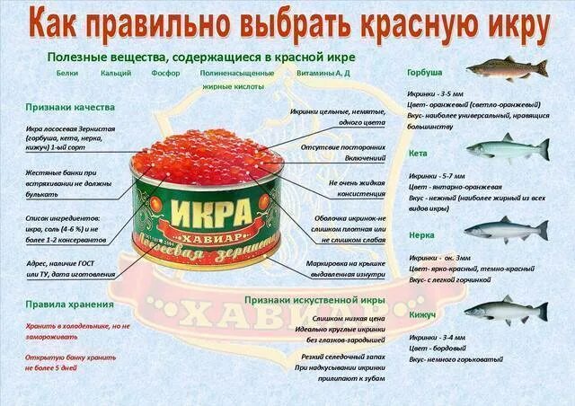 Можно ли есть красную икру. Красная икра каких рыб бывает. Красная икра размер икринок разных рыб. Сорта икры лососевых рыб. Как правильно выбрать красную икру.
