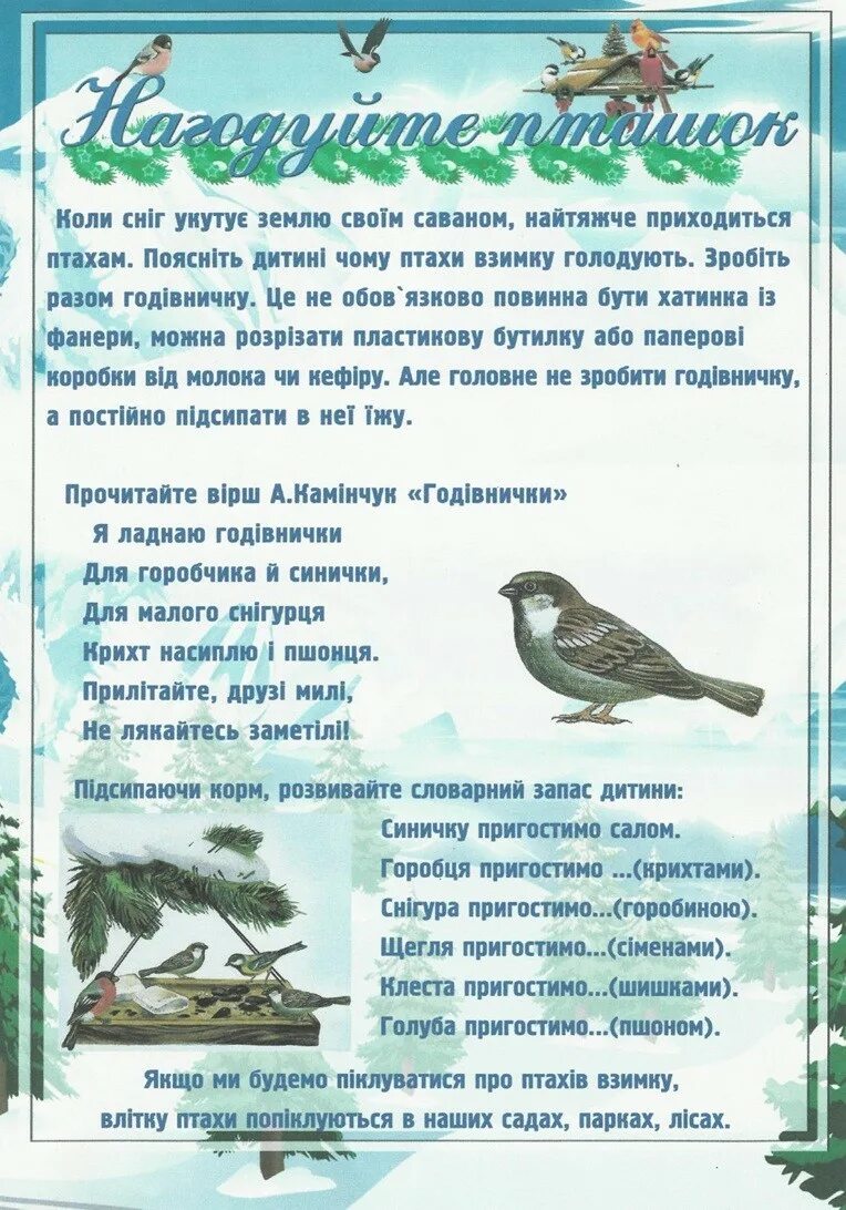 Папка передвижка день птиц. Папка раскладушка зима. Консультация для родителей зимующие птицы. Консультация для родителей птицы зимой. Тема птицы весной информация для родителей.