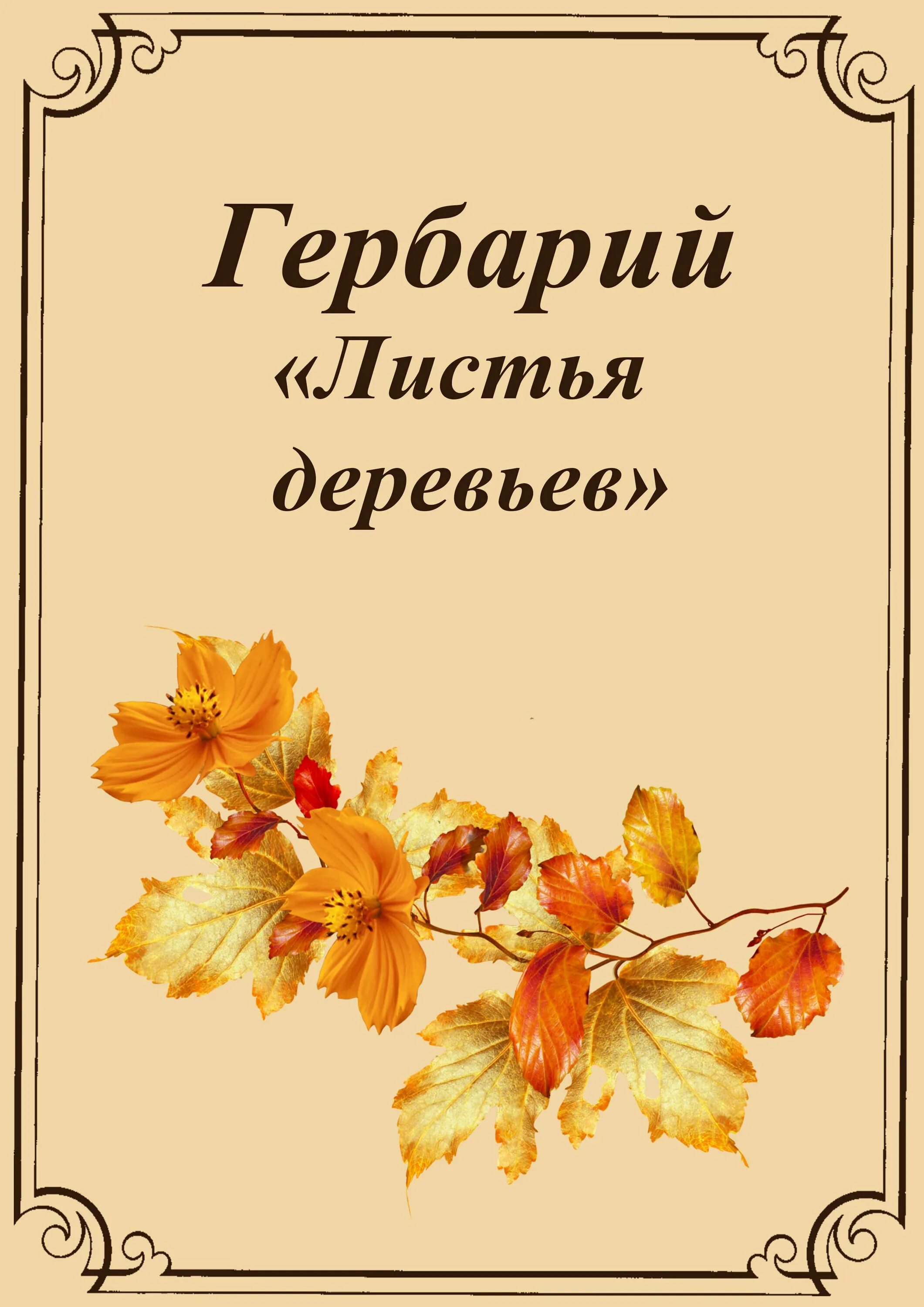 Оформление обложки гербария. Гербарий листья. Гербарий оформление титульного листа. Шаблон для гербария. Гербарий титульный лист.