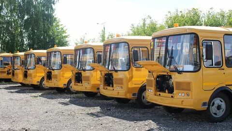 Парк школьных автобусов