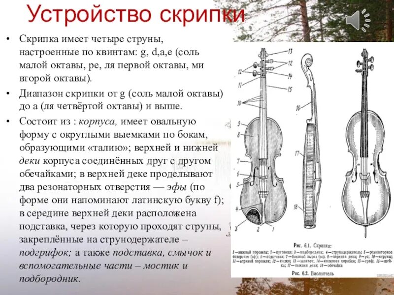 Скрипка методика. Строение скрипки. Название частей скрипки. Строение смычковых инструментов. Устройство скрипки.