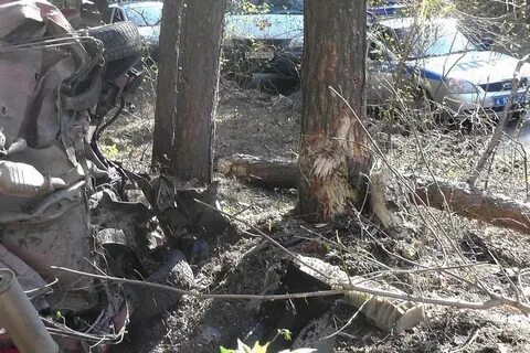Типичный катайск объявления