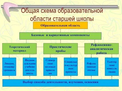 Образовательная область проекта