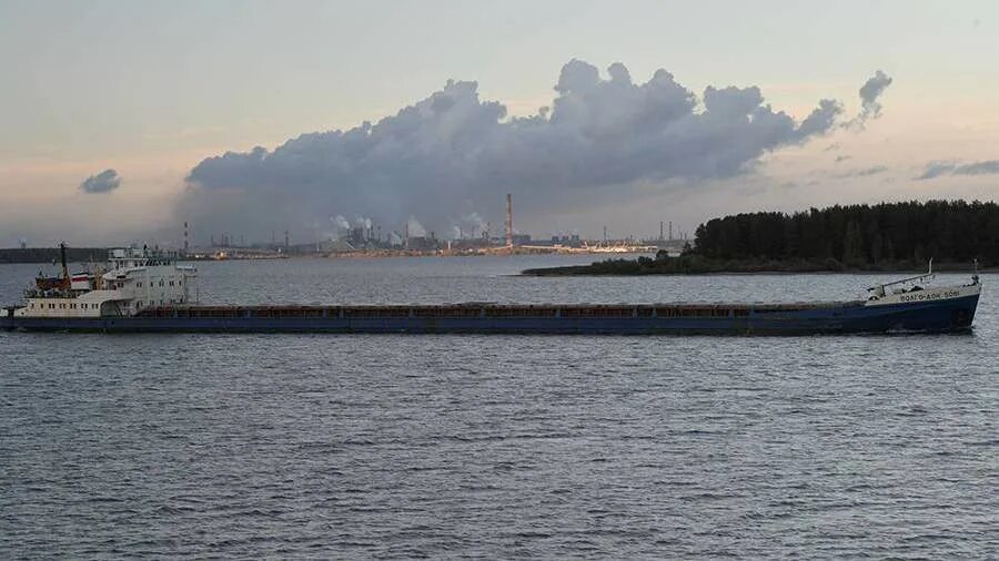 сухогруз блу шарк