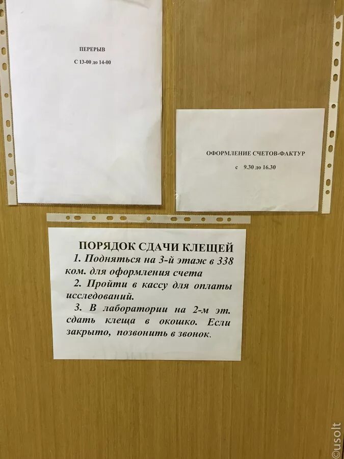 Где сдать клеща на анализ. Куда сдать клеща на исследование. Куда можно сдать клеща на анализ. Сдай клеща на исследование.