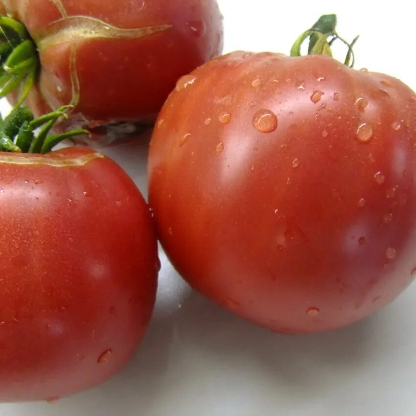 Томат бельмонте роза. Сорт томатов бренди. Томат бренди розовый вкуснотека. Томат бренди розовый характеристика и описание. Томат абрикосовый брендивайн.