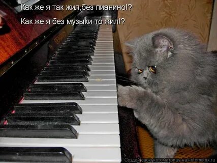 Сам не на