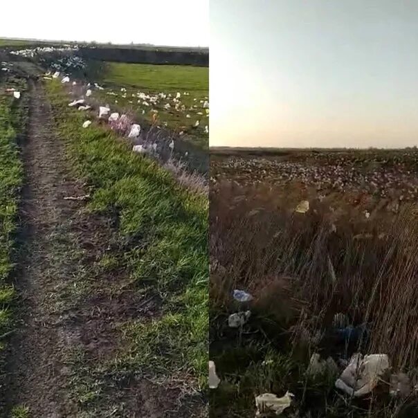 Полигон ТБО Хутор Копанской. Мусорный полигон Копанской Краснодар. Свалка в Краснодаре Копанской. Мусорка в Копанском Краснодар. Хутор копанский краснодарский край