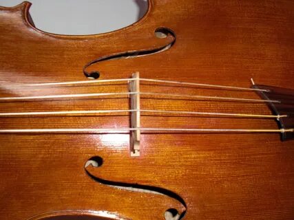 Cello string