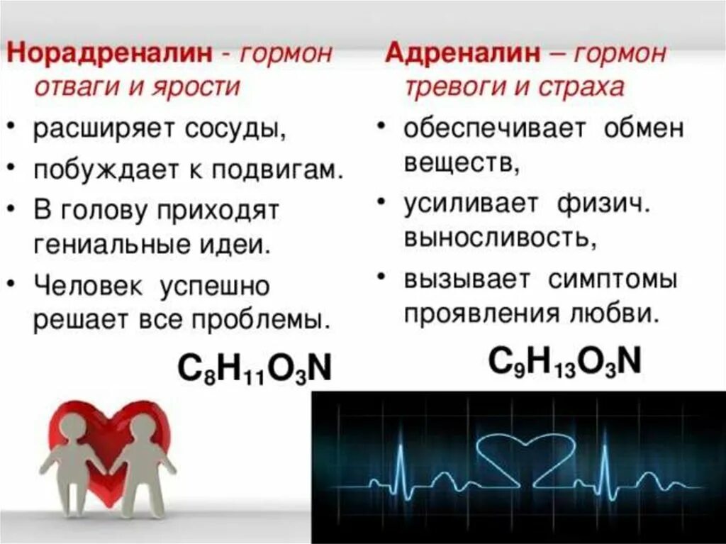 Вызывающий тревогу гормон. Норадреналин функции гормона. Адреналин и норадреналин. Адреналин и норадреналин функции. Адреналин и норадреналин отличие.