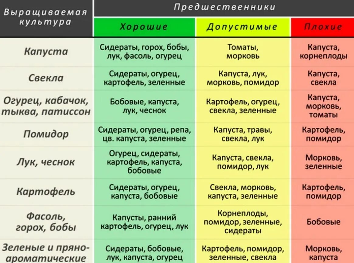 Что можно посадить на месте