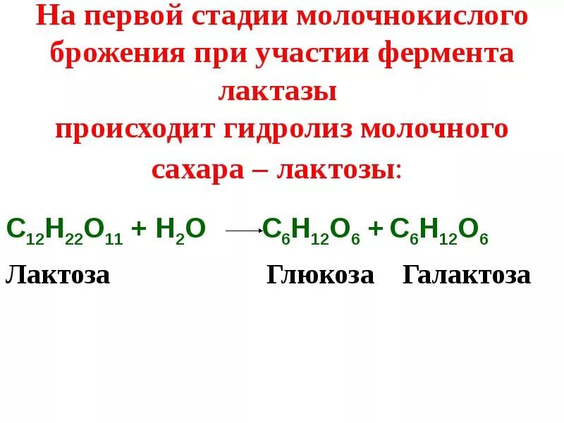 Гидролиз молока