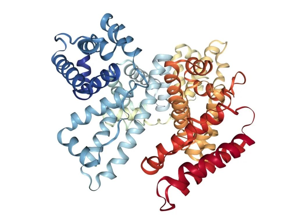 Глобулин кот. Альбумин белок структура. Белок альбумин формула. Белок альбумин строение. Альбумин строение белка.