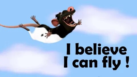 He can fly and sing