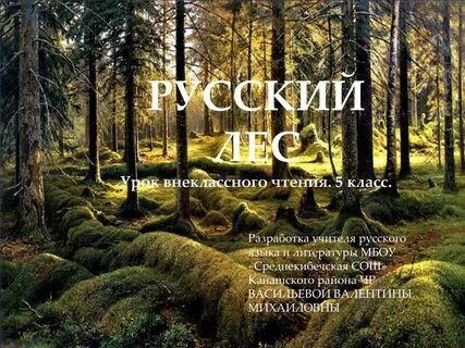 Русский лес кратко