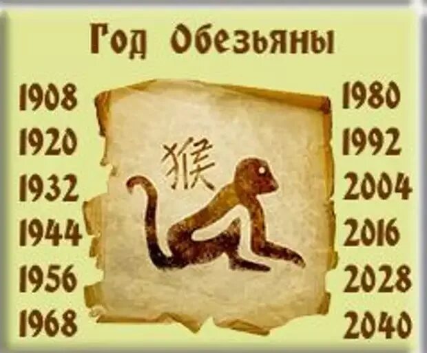 Знак зодиака обезьяна года. Год обезьяны. Годы рождения обезьяны гороскоп. Год рождения обезьяны по годам. Обезьяна года по гороскопу.