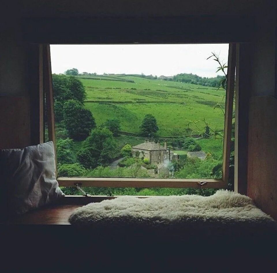 Windows view