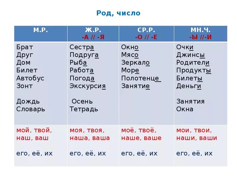 Род число. Как определить число р. Род число таблица. Как определить число и род. Ветер род число