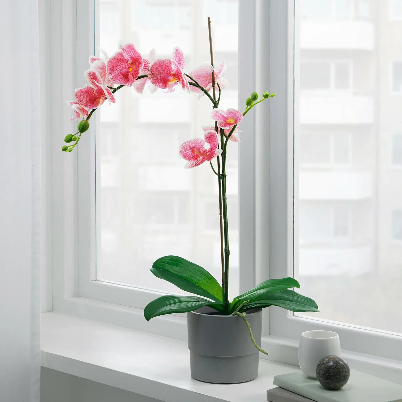 Орхидея h1346. Ikea Орхидея. Икеа цветы орхидеи. Икеа горшок для орхидеи. Plants орхидея