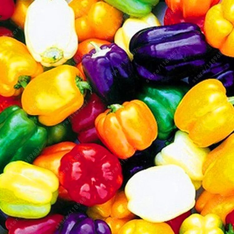 перец сладкий болгарин семена. перец балико ф1. семена перца "нафаня". сладкий перец сорт калифорнийское чудо. перец сладкий корнелия f1.