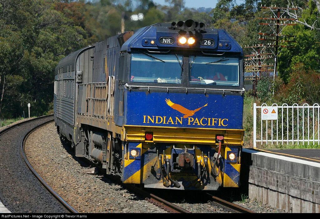 Поезд Индиан Пасифик. Сидней Перт железная дорога. Indian Pacific поезд. Indian Pacific (Австралия). Железные дороги австралии