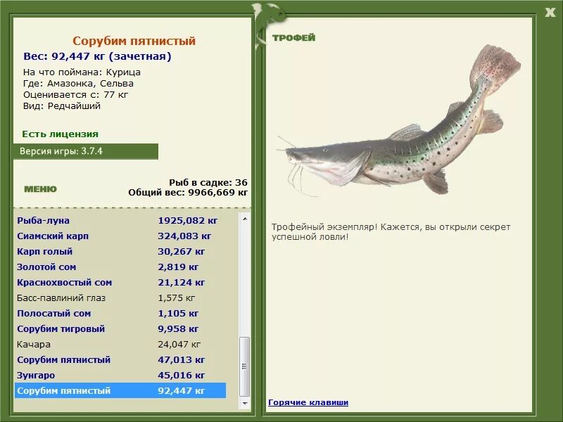русская рыбалка 3 7 4 амазонка. рыбалка 3 амазонка. пирапутанга рыба. рыбалка 3 амазонка. русская рыбалка амазонка.