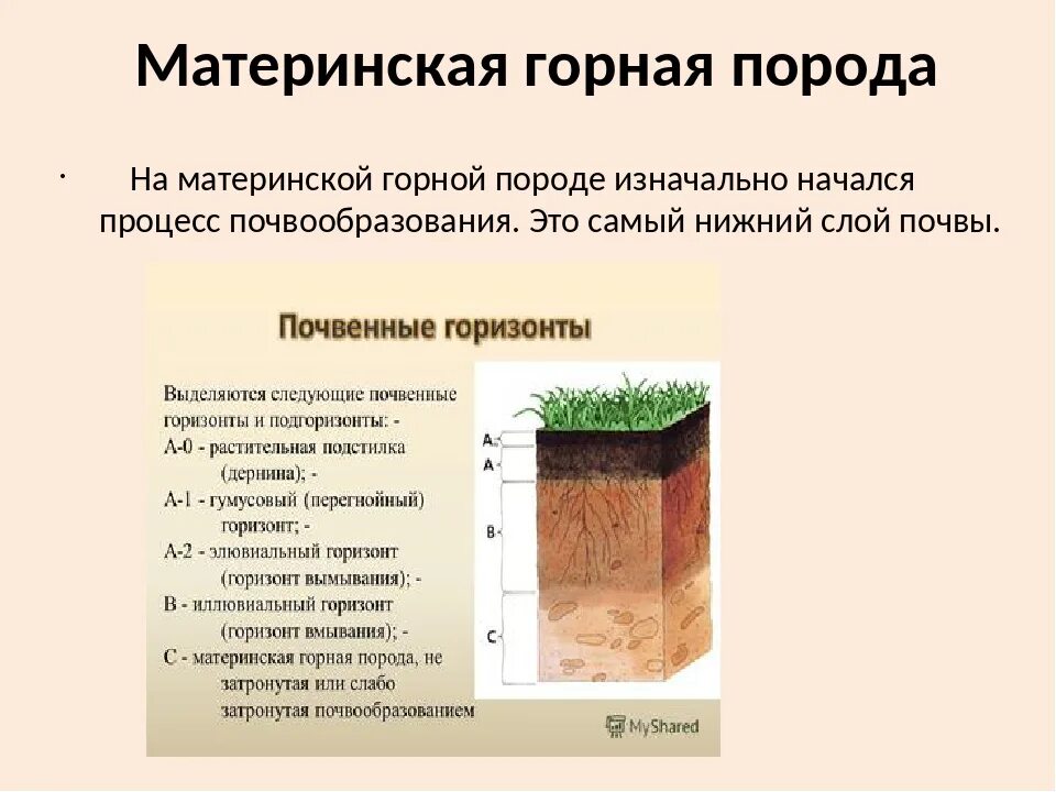 Назови слою. Материнская порода почвы. Почвообразования на материнских породах. Материнская Горная порода. Материнская порода почвы на схеме.