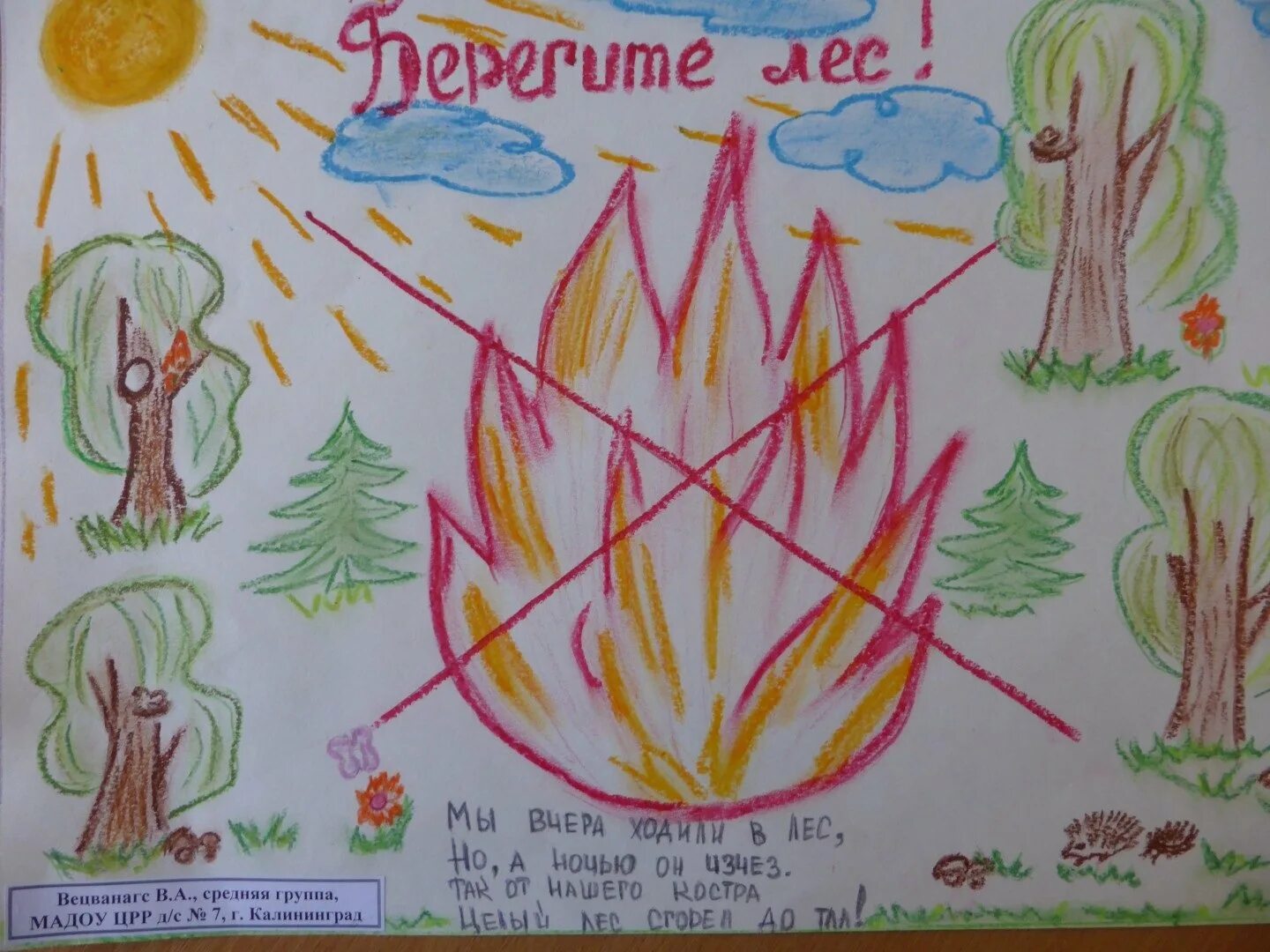Нарисовать берегите леса. Рисунок на тему Лесные пожары. Рисунок на тему берегите лес. Берегите лес от пожара рисунки. Рисунок на тему береги лес от огня.