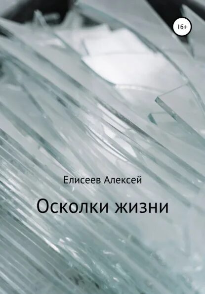 Читать фрагменты жизни. Осколки жизни. 12 осколков личности. осколки наших жизней.