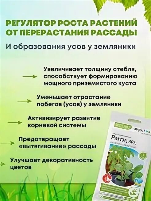 Регги регулятор роста для рассады. Регуляторы роста растений. Средство от перерастания рассады. Регулятор роста растений рэгги 1мл, август (200), , шт. Рэгги, ВРК, регулятор роста растений 1мл.