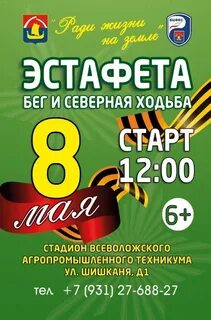 День города всеволожск 2024 программа