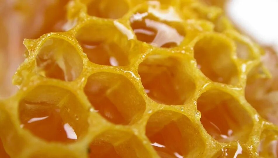 Пчелиный воск забрус. Мёд в сотах. Медовые соты. Пчелиный воск соты.