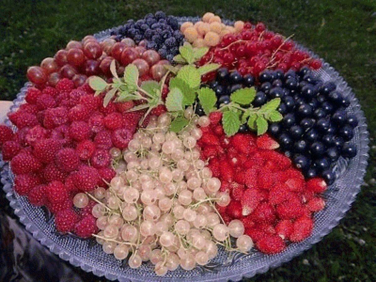 Дача ягодка. Летние ягоды. Вкусные ягоды. Ягоды в саду. Лето фрукты ягоды.