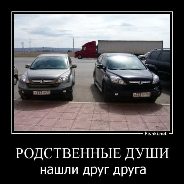 Мы нашли друг друга. Мы обрели друг друга. Лисята обнимаются. Окрыленные любовью. Мы нашли друг друга.