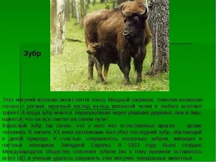 Могучий это