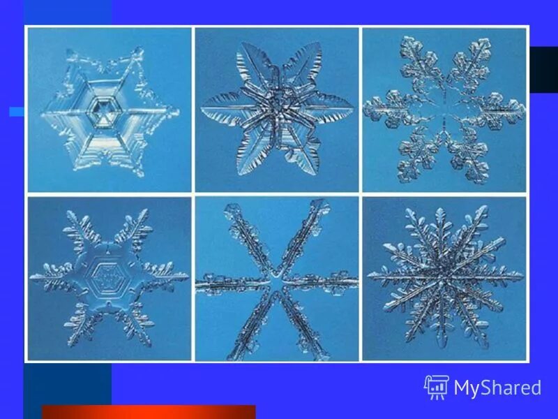 формы снежинок. разнообразие снежинок. снежинки разной формы. снежинки и их названия. разные снежинки.