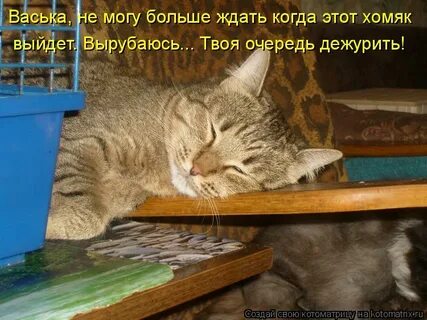 Ждать больше не готовы