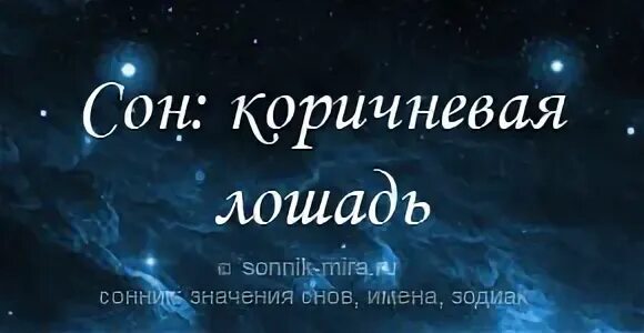 К чему снится видеть лошадь. Сонник к чему снится лошадь. Лошадь во сне к чему снится. Сонник лошадь во сне видеть женщине. Черный конь снится во сне для женщины.