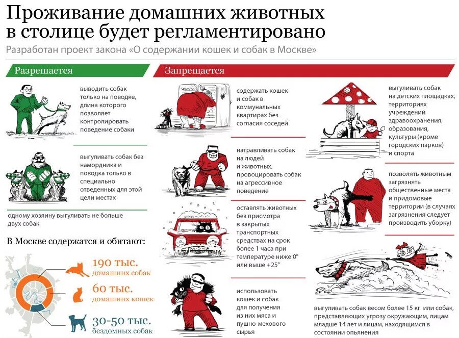 Нарушения правил проживания. Правил содержания кошек и собак в Москве. Правила содержания домашних животных. Закон о выгуле собак. Правила выгула домашних животных.