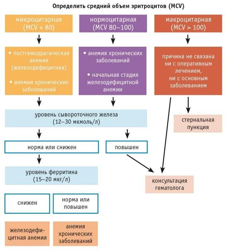 Методы лечения анемии. Схема терапии железодефицитной анемии. Жда у детей клинические рекомендации классификация. Жда 1 степени у ребенка клинические рекомендации. Анемии клинические рекомендации 2020.