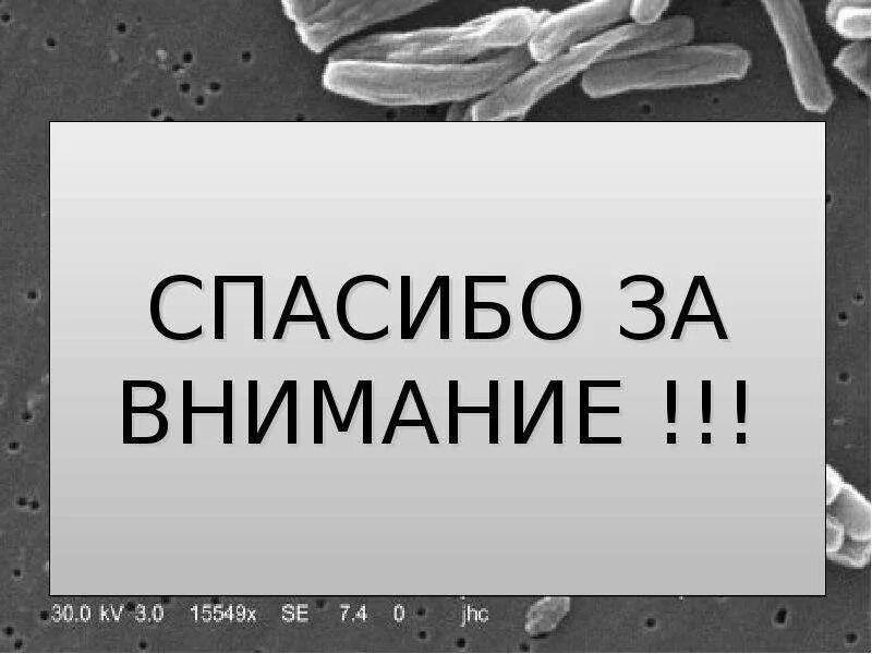 Внимание туберкулез. Спасибо за внимание туберкулез. Спасибо за внимание для презентации туберкулез. Спавибо за внимание туберкулёз. Спасибо за внимание фтизиатрия.