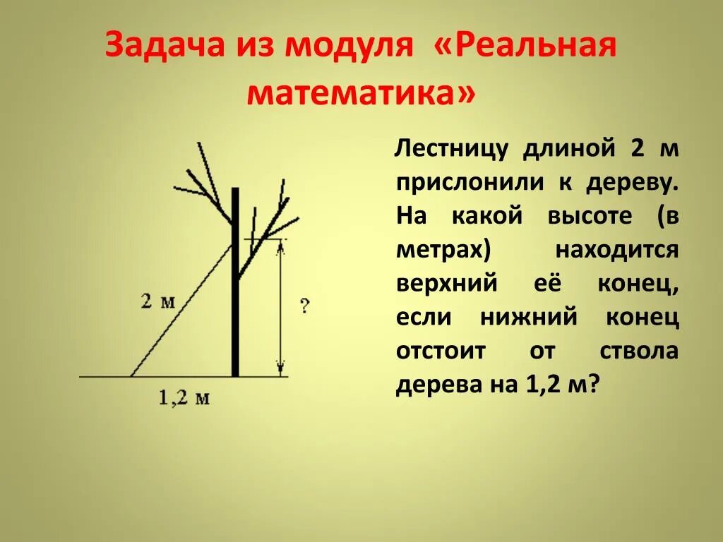 Ствола на высоте 1 3. Лестницу длиной 2 м прислонили к дереву. Высота дерева. Длину лестницы которую прислонили к дереву. Дерево высотой 11 м.