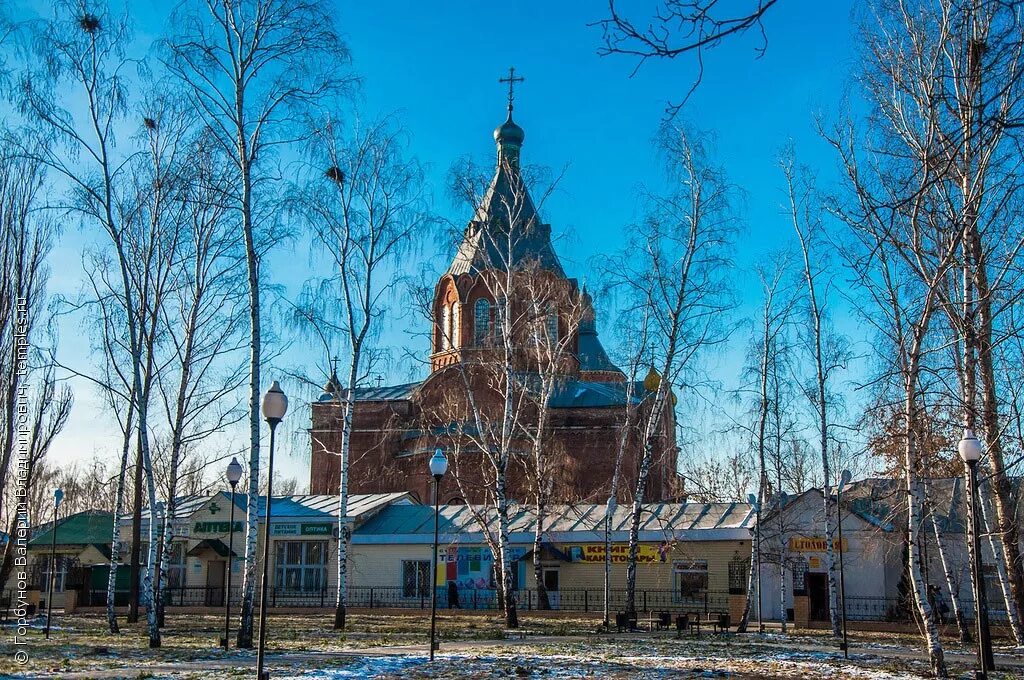 Грибановка. Богоявленский храм Грибановский. Богоявленский храм пгт Грибановский Воронежской. Церковь Богоявления Господня Грибановка. Храм в Посевкино Воронежская область.