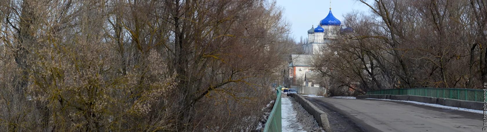 Погода колбино репьевского. Село Бутырки Воронежская область. Село Бутырки Репьевского района. Репьёвка Воронежская область. Село Репьевка Воронежская область.