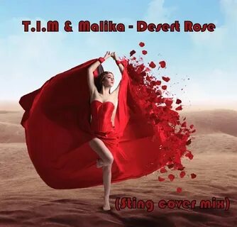 Sting enigma desert rose remix cover 2024