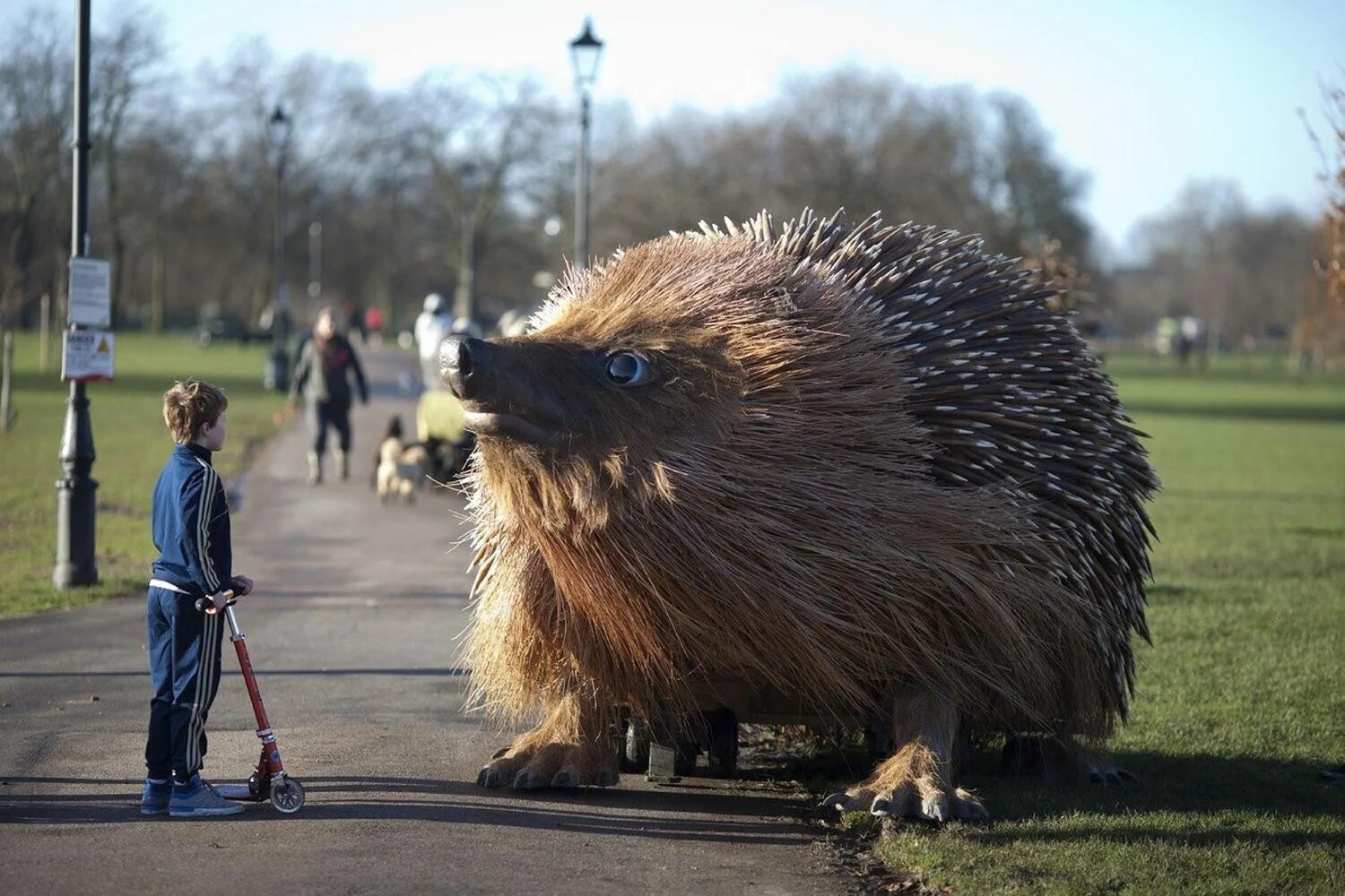 Ежик в парке London’s Clapham common. Самый гигантский ёж в мире. Самый большой Ежик. Самый большой Ёжик в мире. Известные ежики